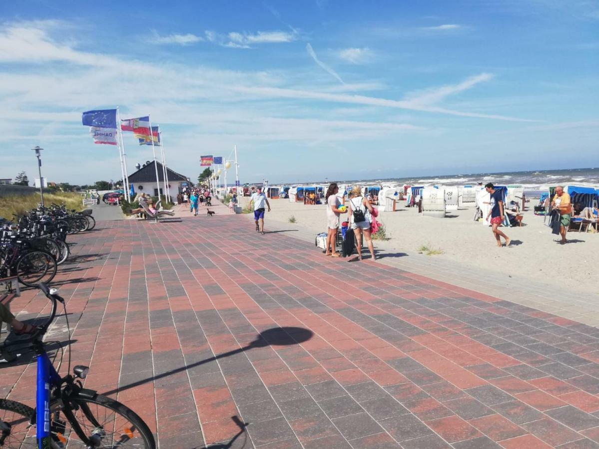 Wohnung Nixe Mit Meerblick - Haus Hopp Dahme Dış mekan fotoğraf